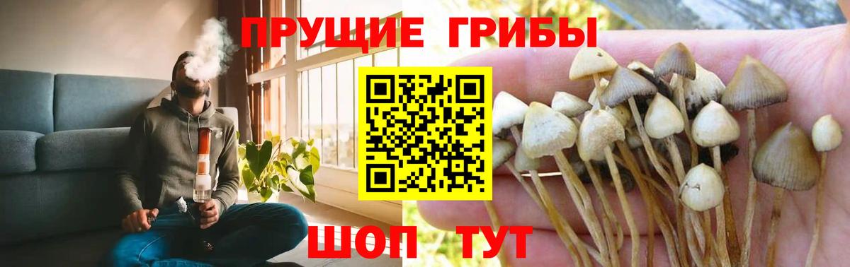 Псилоцибиновые грибы прущие грибы  Вход с VPN  Сарапул 